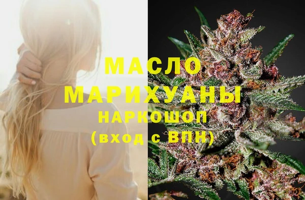 дмт Абаза