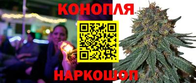 спиды Заводоуковск