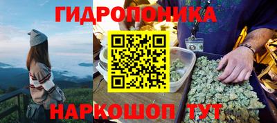 спиды Заводоуковск