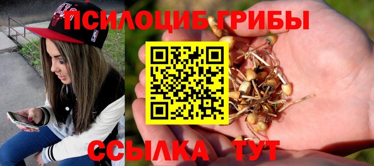 Галлюциногенные грибы ЛСД  Вход с VPN  Сальск  Галлюциногенные грибы мицелий 