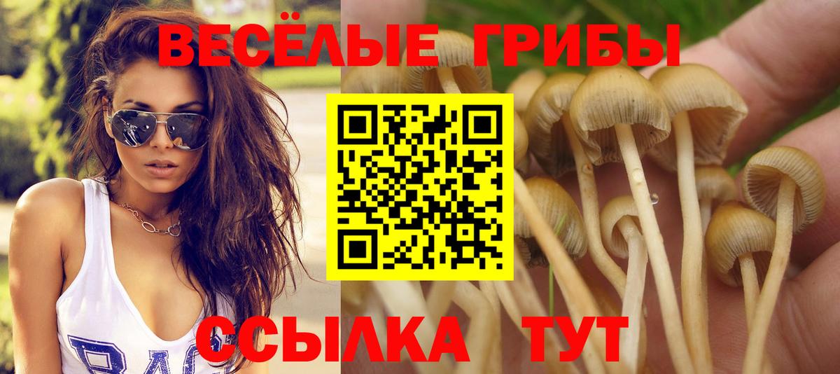 Галлюциногенные грибы мухоморы Сальск
