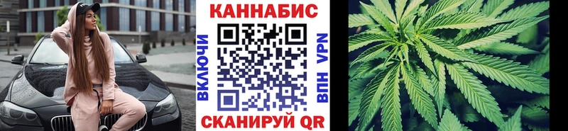 Каннабис планчик Сальск