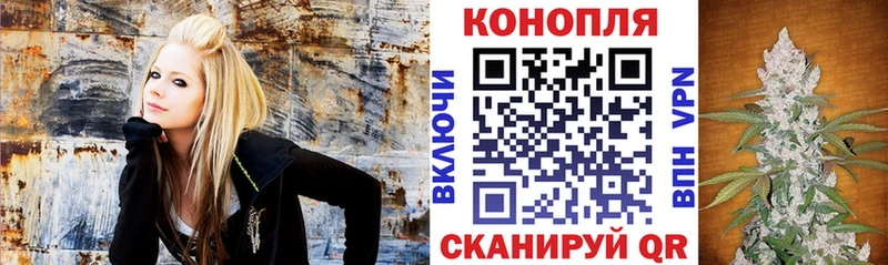 кракен tor  Сальск  Конопля Ganja 