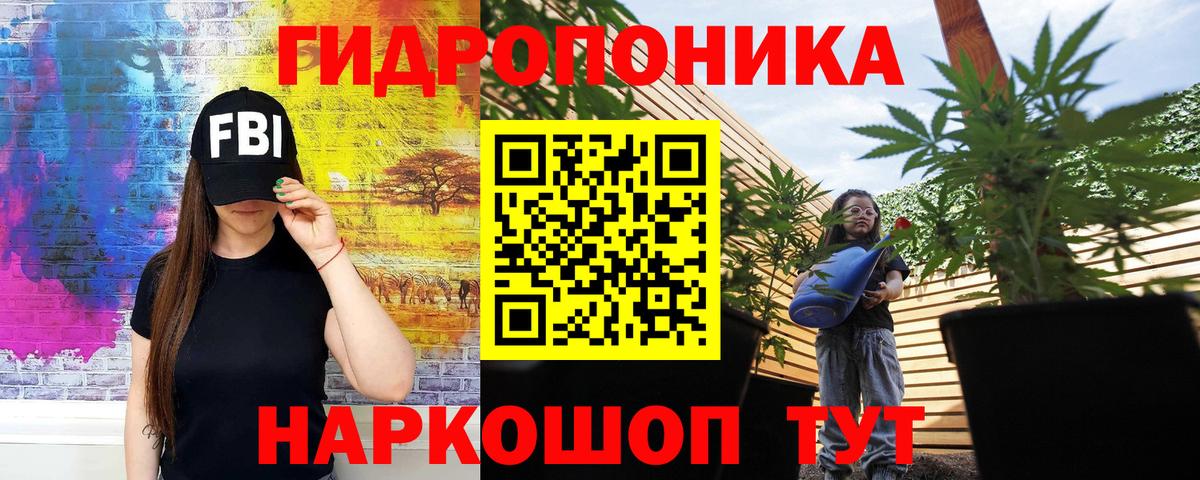 Конопля марихуана  Вход с VPN  Канабис AK-47  Канабис ГИДРОПОН  Каннабис тримм  Сальск 